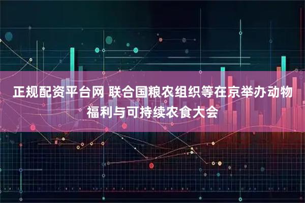 正规配资平台网 联合国粮农组织等在京举办动物福利与可持续农食大会