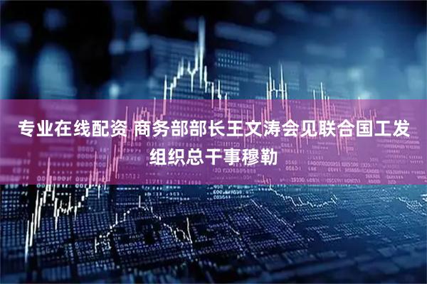 专业在线配资 商务部部长王文涛会见联合国工发组织总干事穆勒