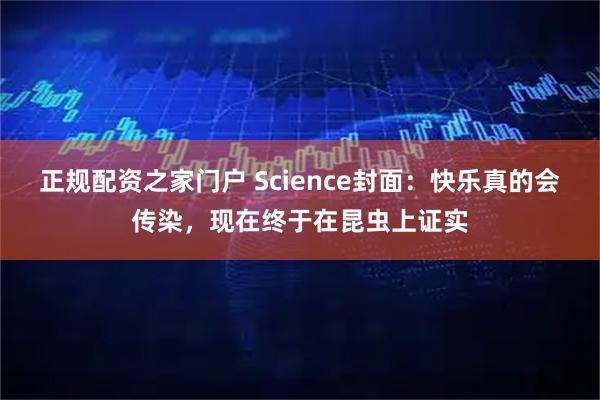 正规配资之家门户 Science封面：快乐真的会传染，现在终于在昆虫上证实
